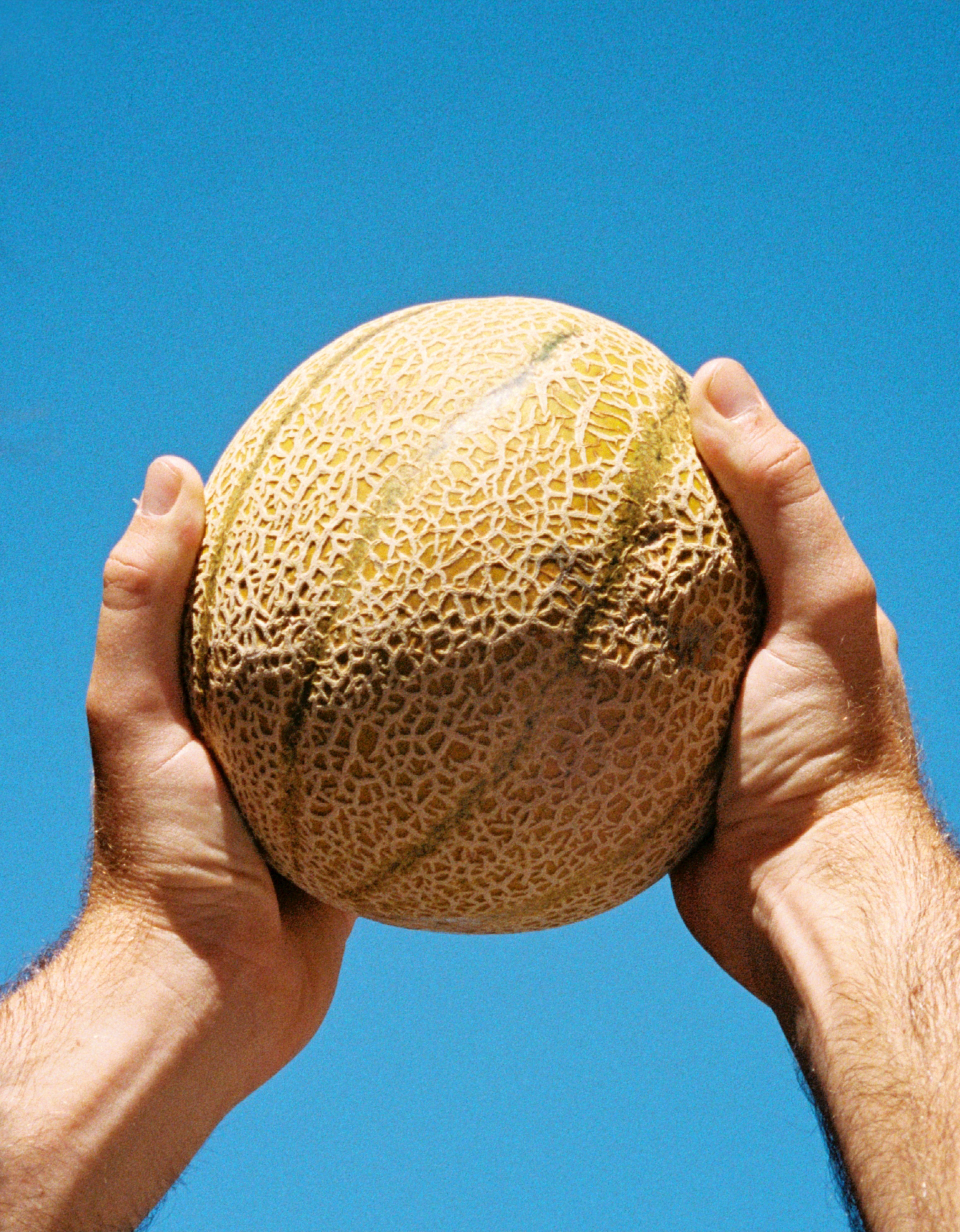 Natoora Melon