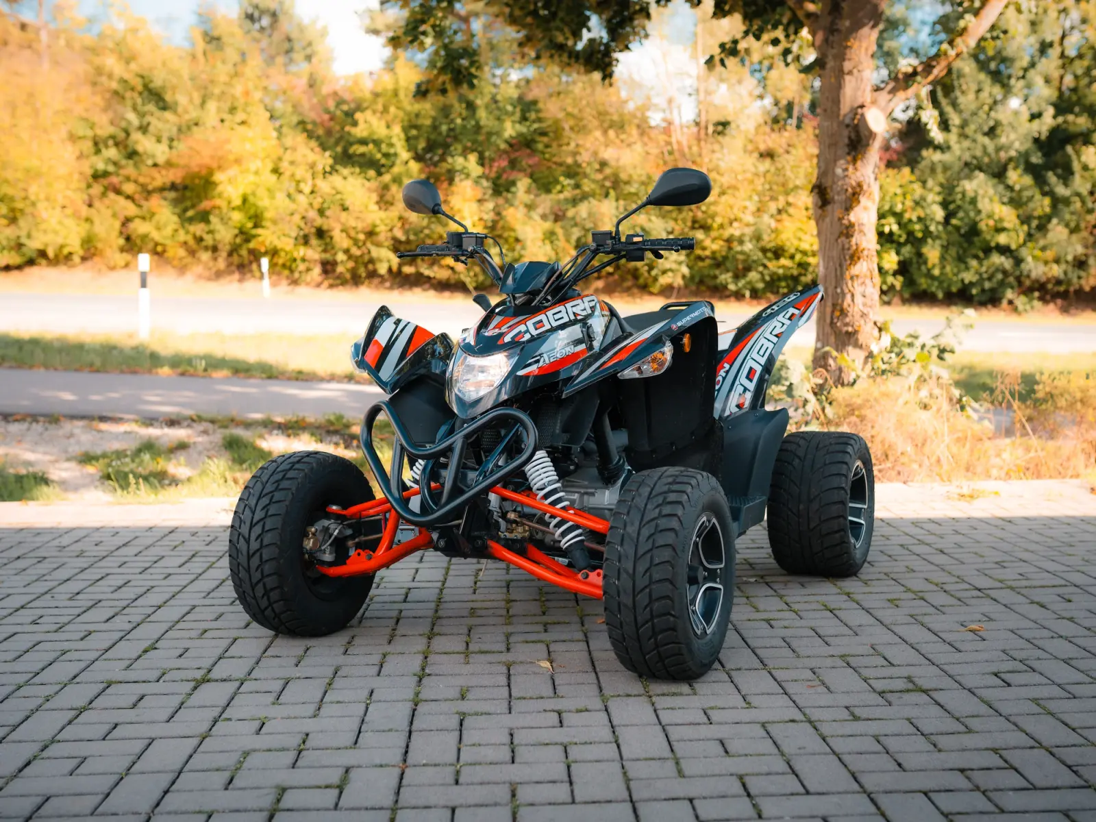 Aeon Cobra 424 SM – Mietfahrzeug