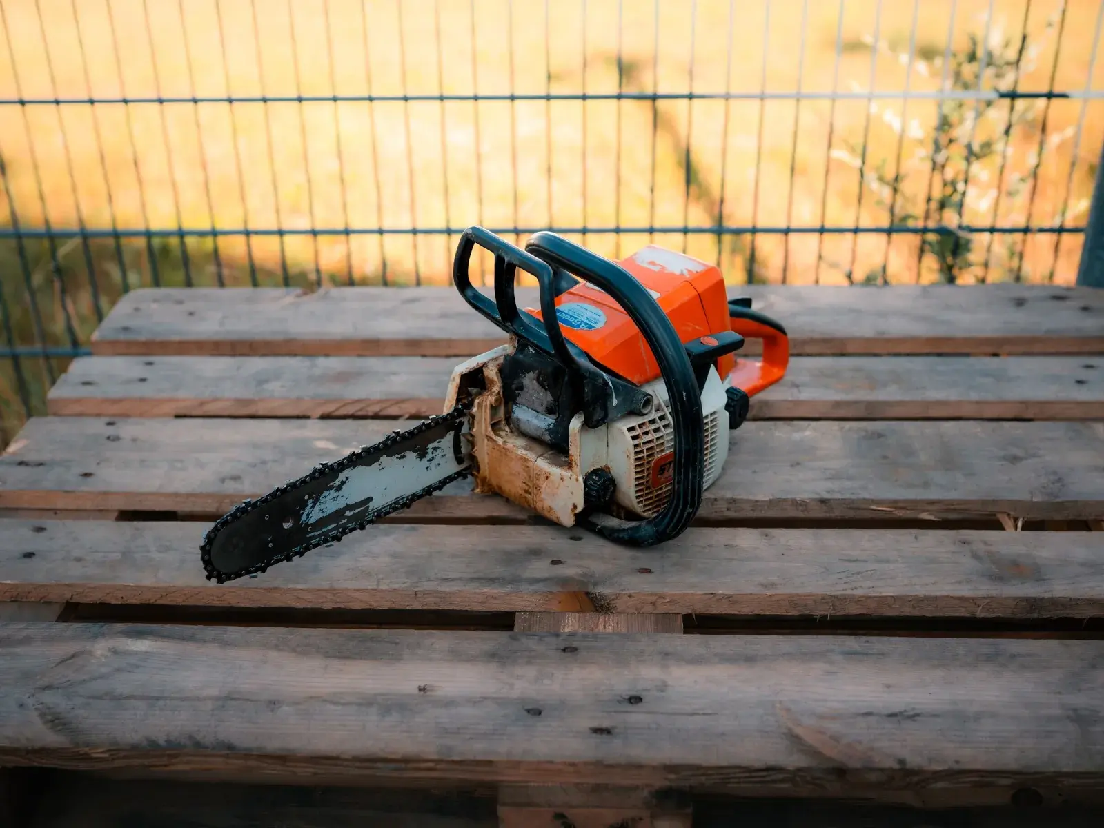 STIHL MS 250 Motorsäge – Mietgerät bei Bader Powersports in Neumarkt