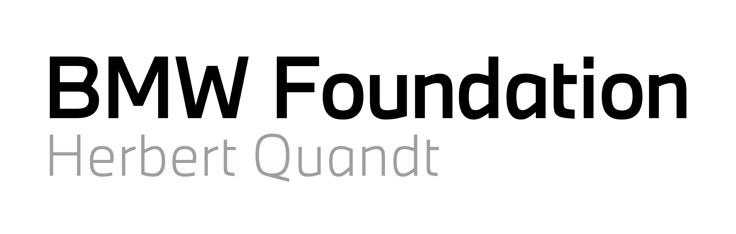 BMW Foundation Herbert Quandt logo