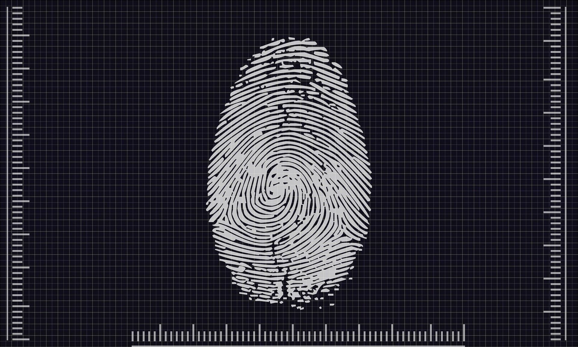 Hash-funktioner og digitale fingeraftryk forklaret