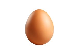image asset