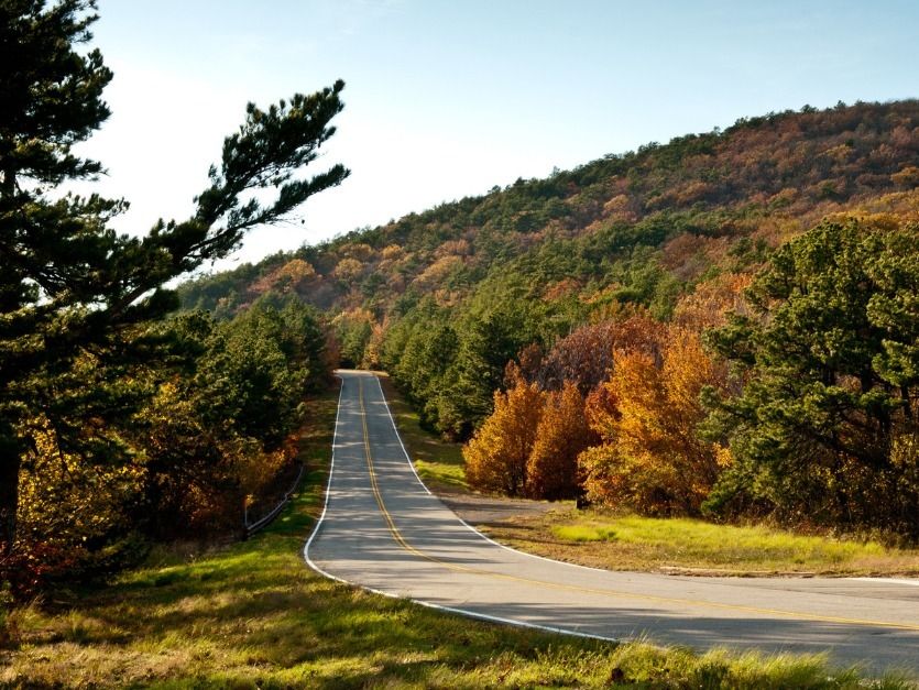 A winding road through autumn trees.