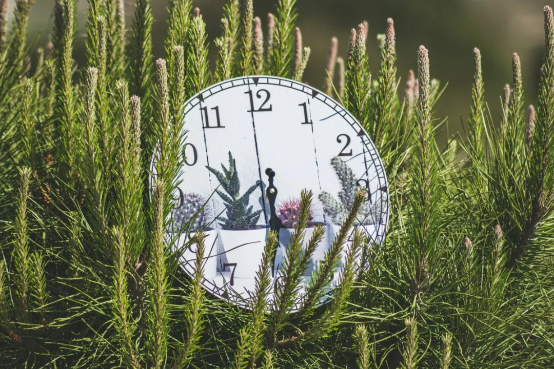 Time Travel Adventures