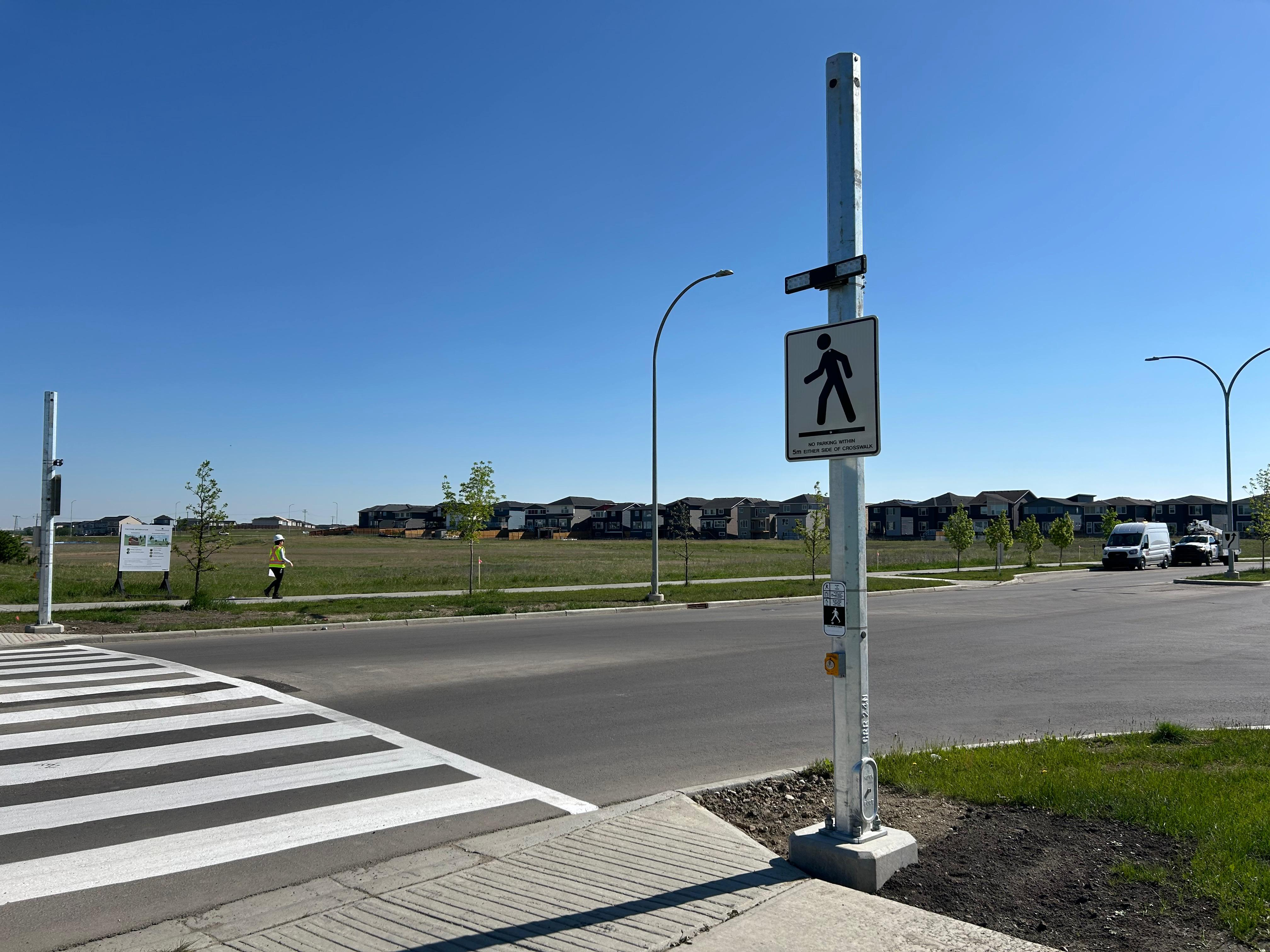 Pedestrian Safety in Ward 5