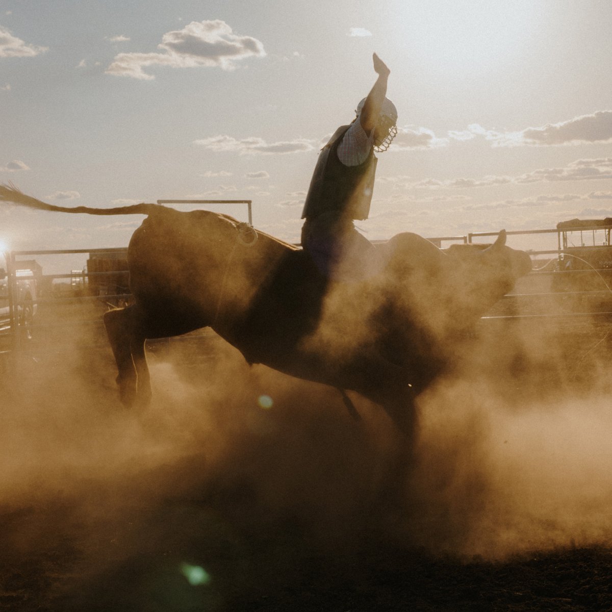 The Bull Rider
