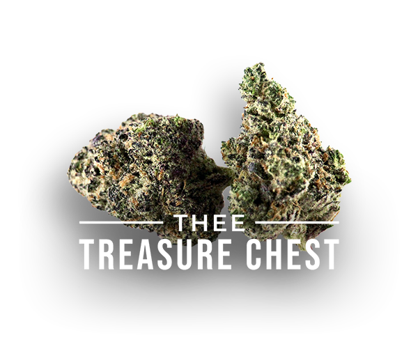 Welcome to Thee Treasure Chest!