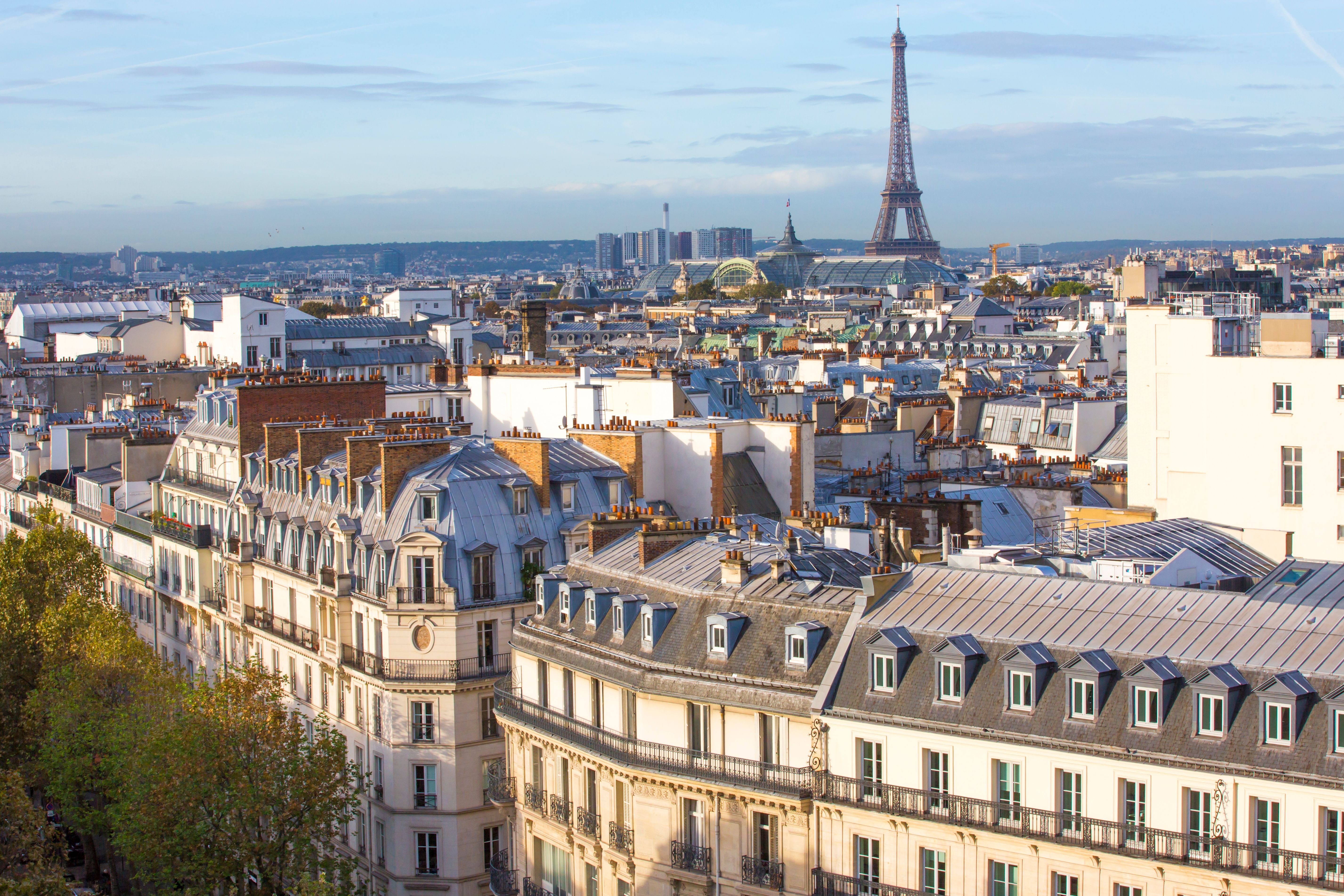 Expert Relocation in Paris en consultation avec un locataire expatrié autour d'un contrat de bail français