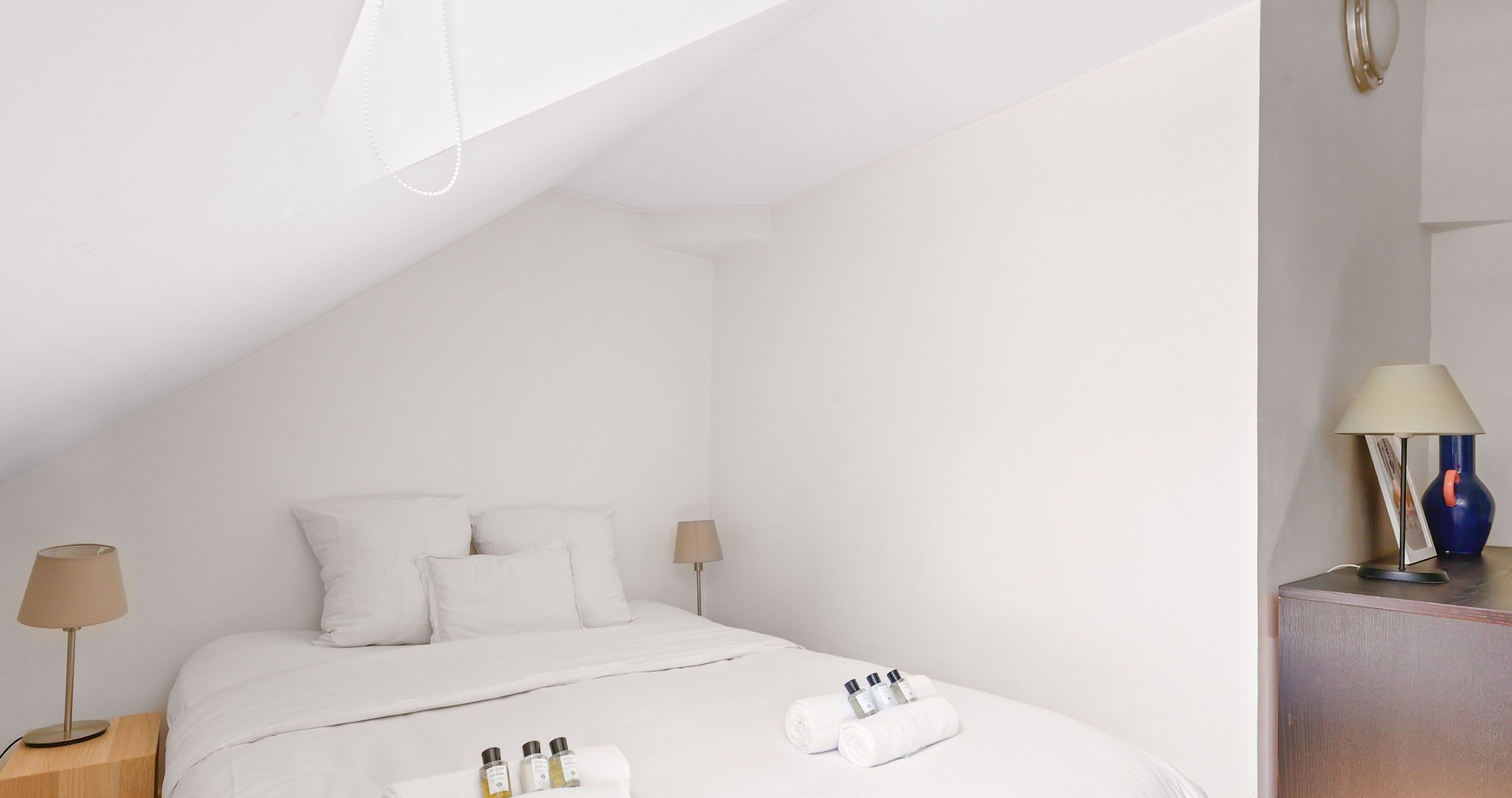Charming furnished one-bedroom apartment rue Daguerre Paris 14th, bright top-floor living room with skylight windows and open kitchen