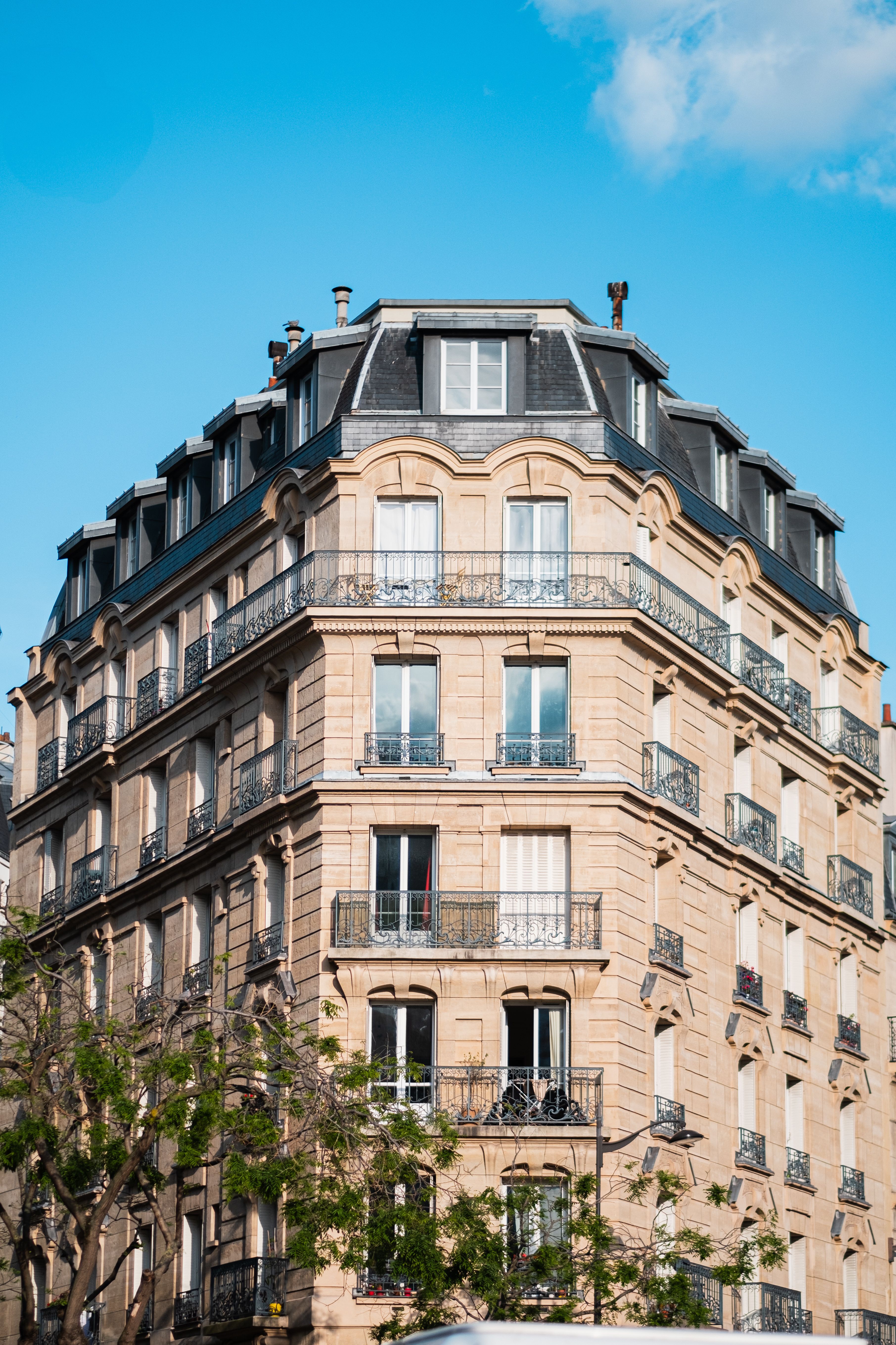 Expert relocation support for expat families in Paris
