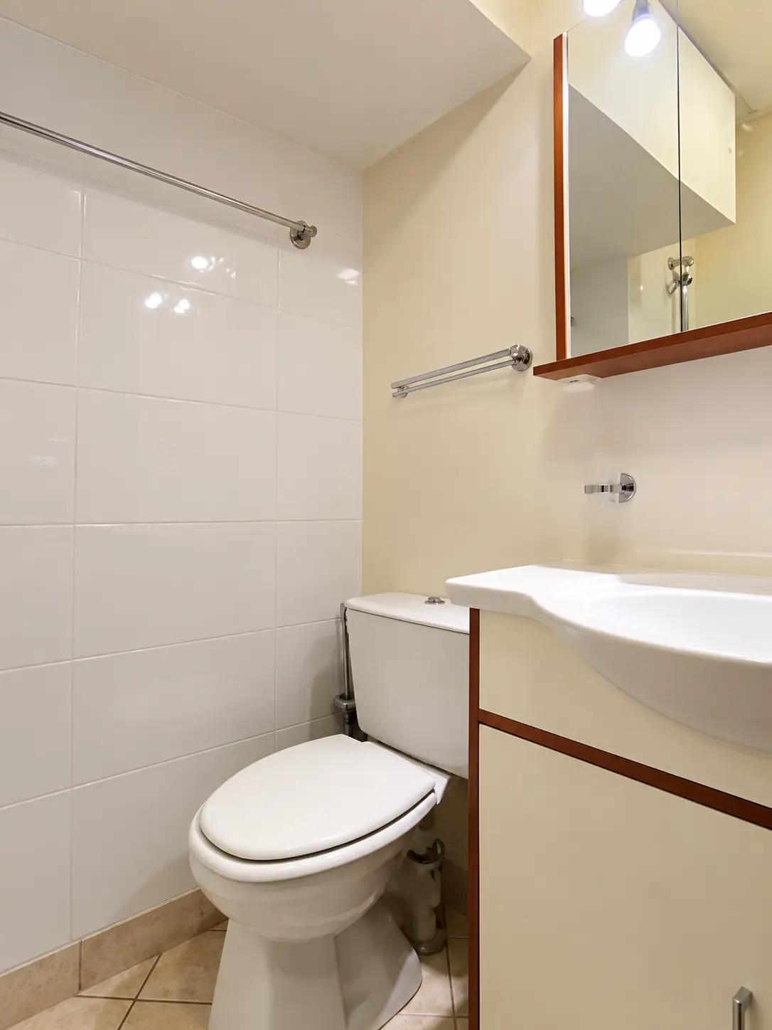 Compact bathroom with WC, shower and vanity in Paris studio