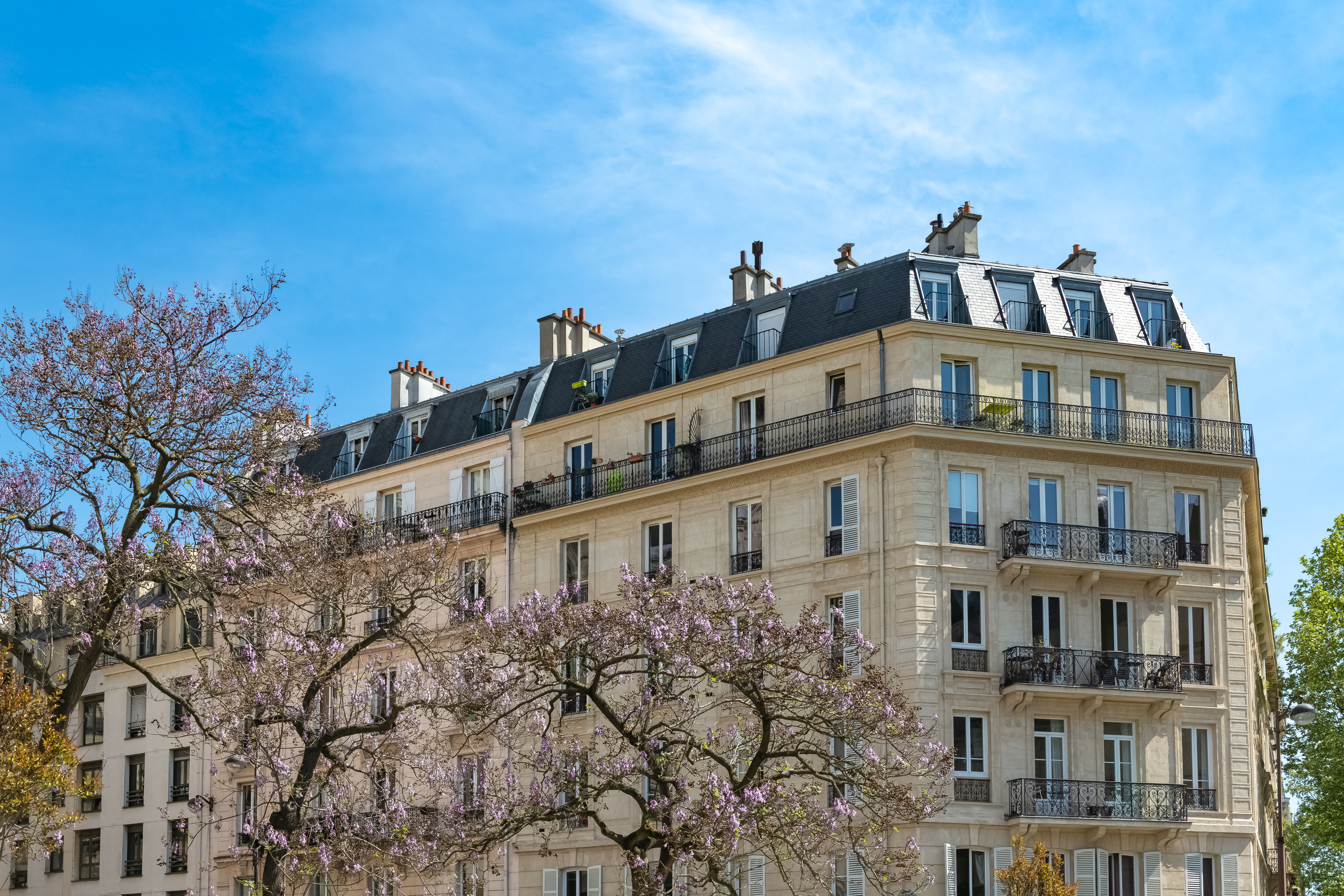 Coliving room size and privacy in France