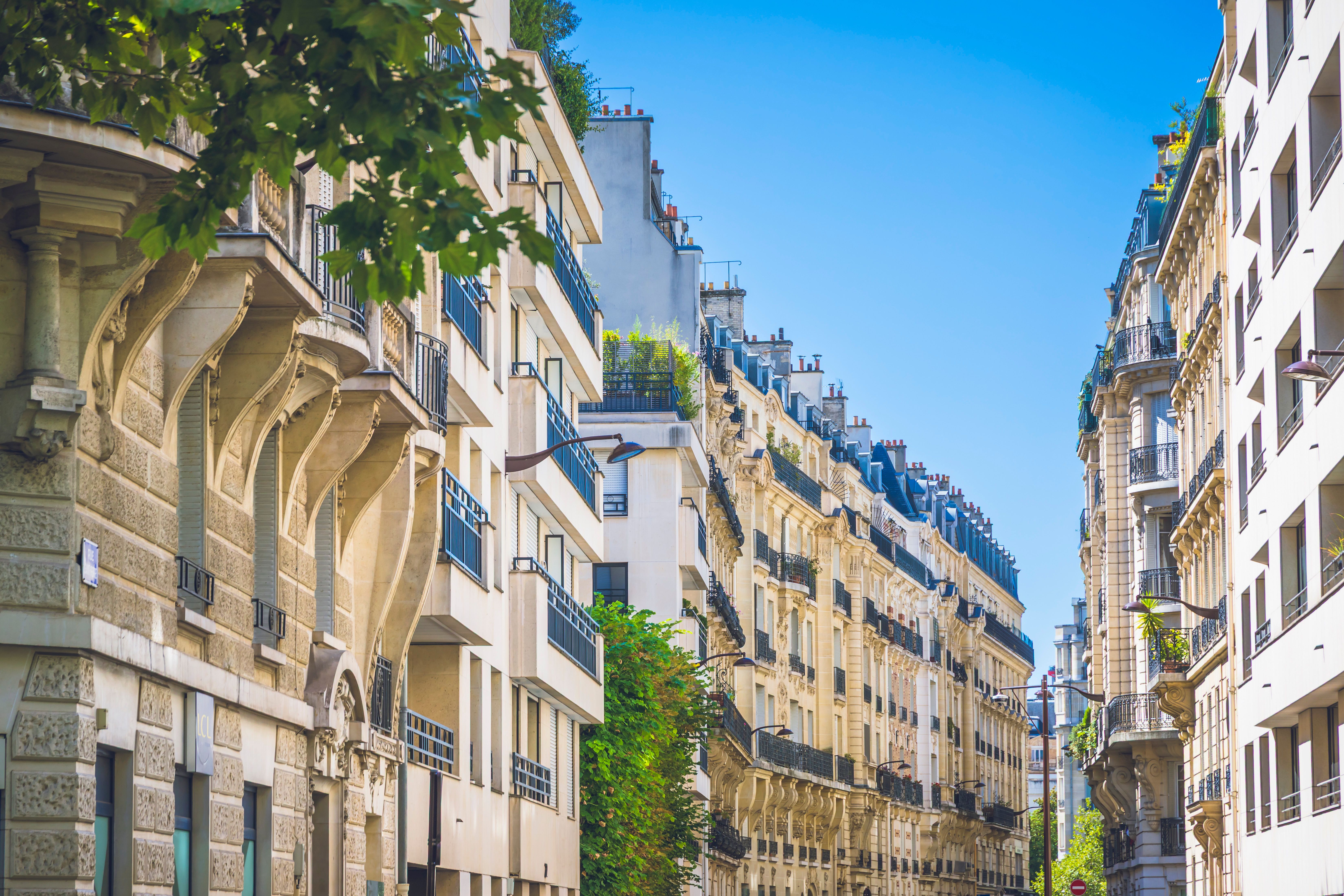 Landlord pest control responsibility in France