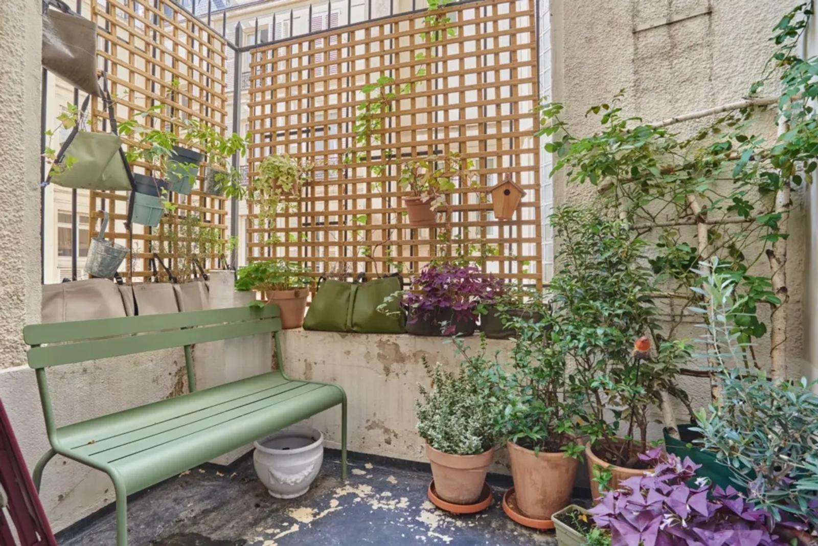 Terrasse privée avec plantes et banc à Paris
