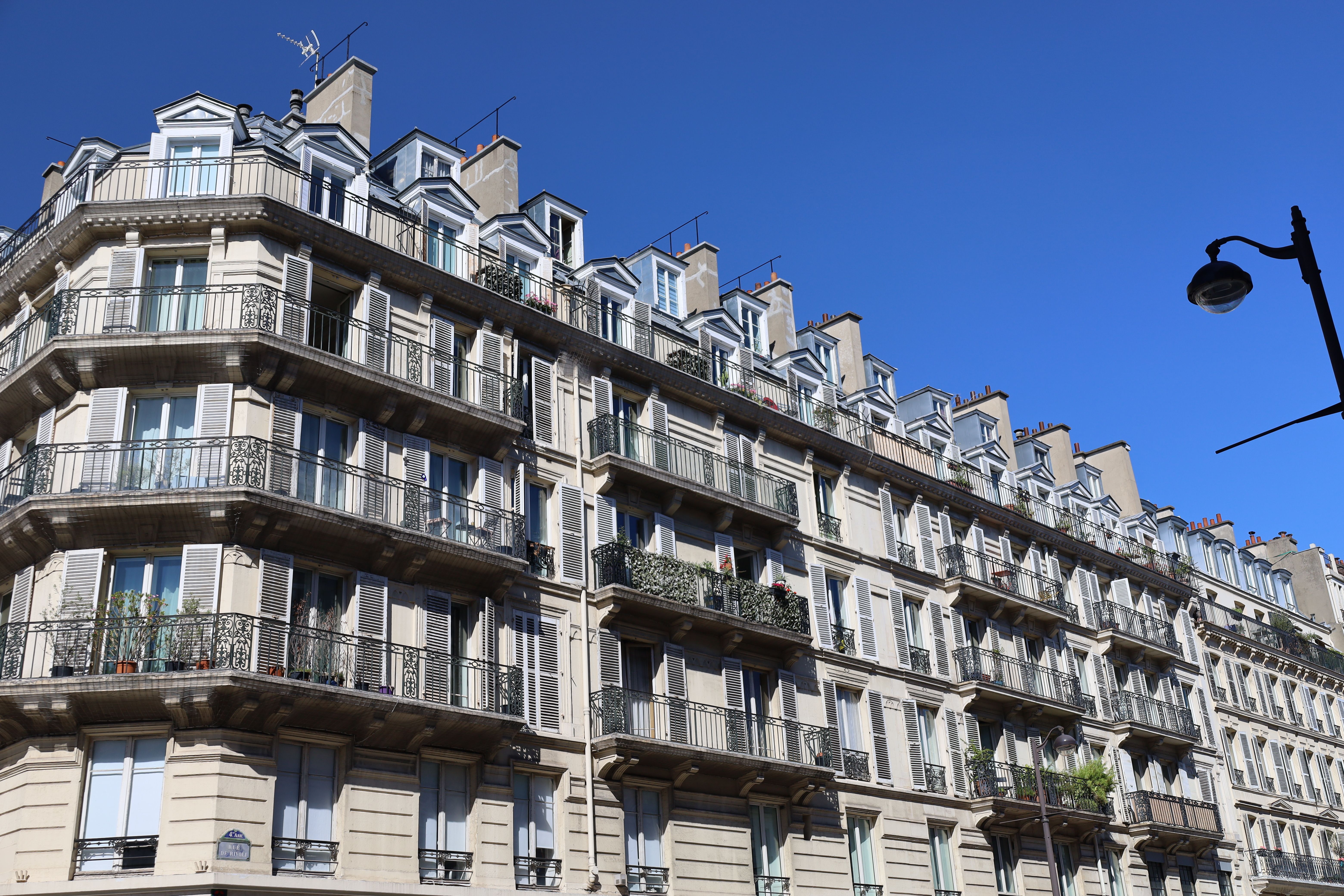 Parcs acceptant les chiens à Paris