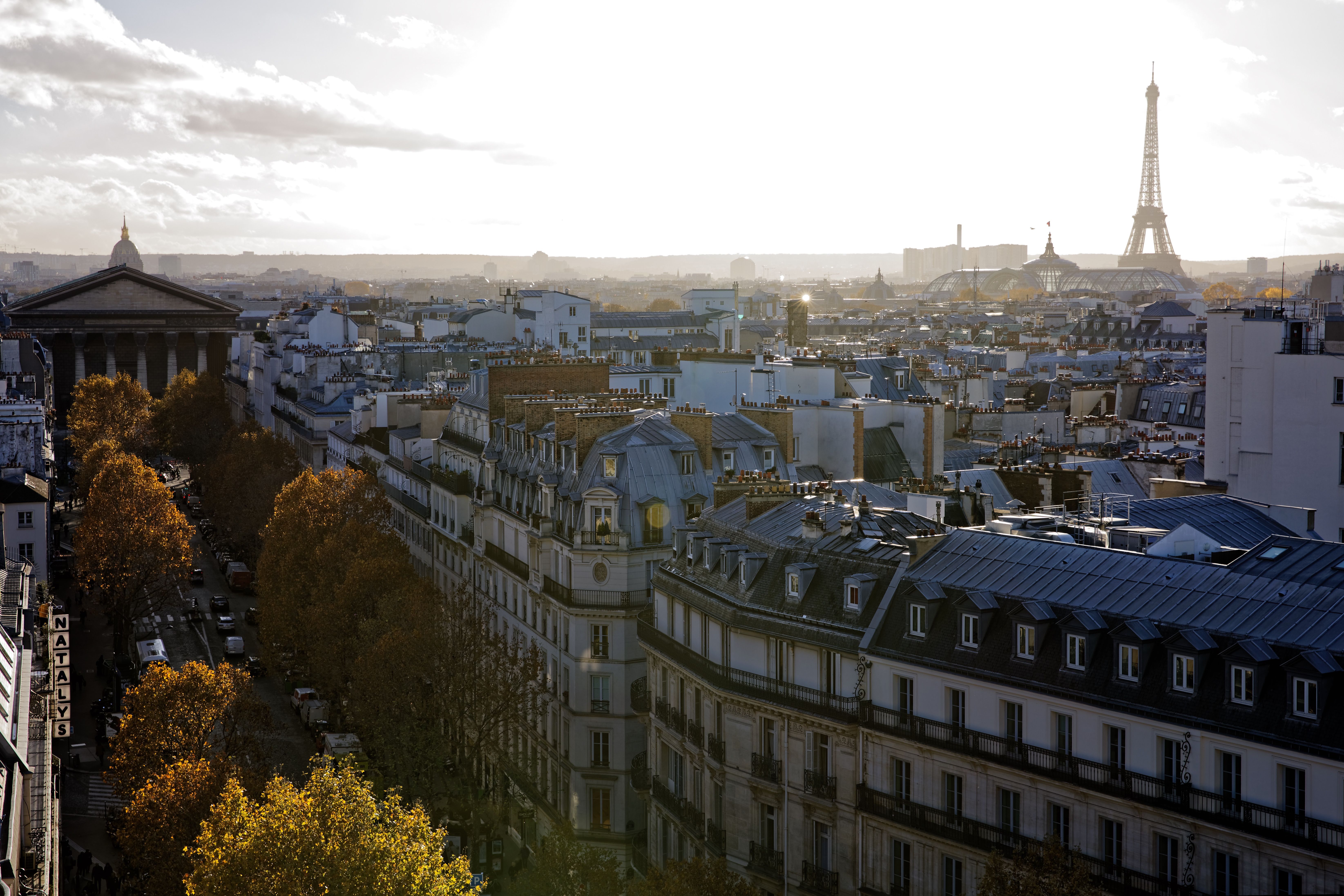 Choix de l'école et quartier de résidence pour familles expatriées à Paris