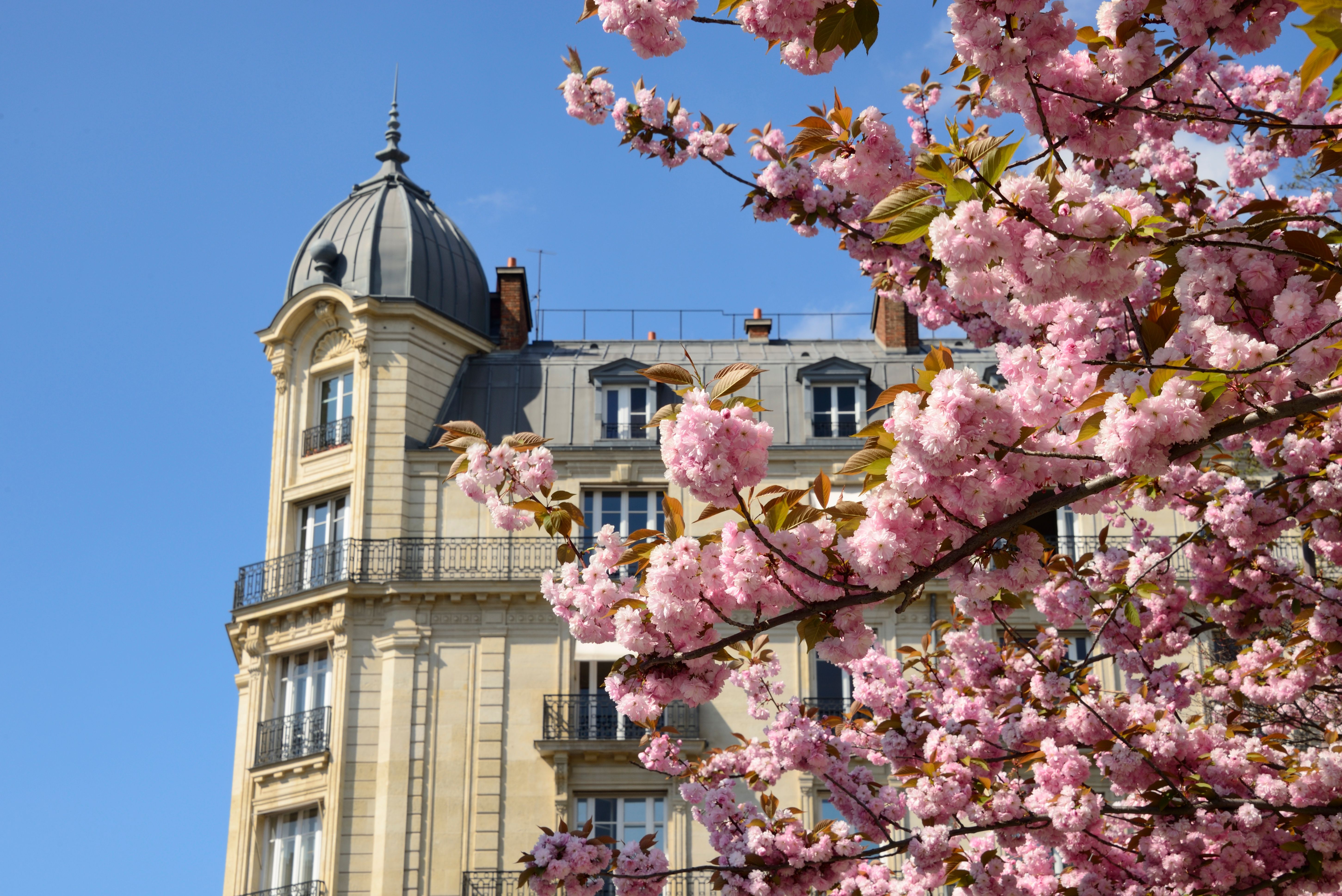 Musées de Paris au calme quand il pleut