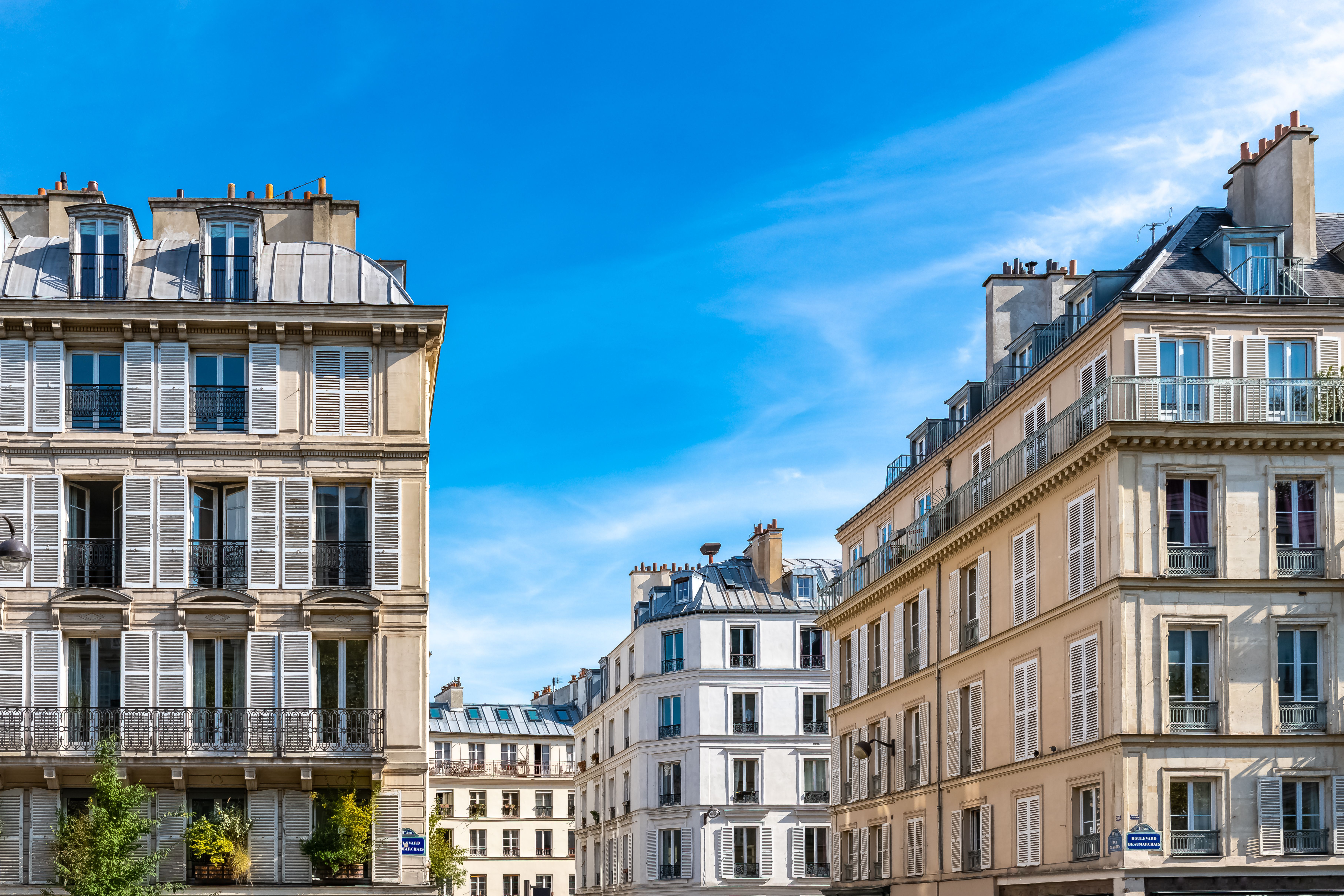 quatre types d'établissements : IB et bilingue jusqu'aux sections internationales du public
