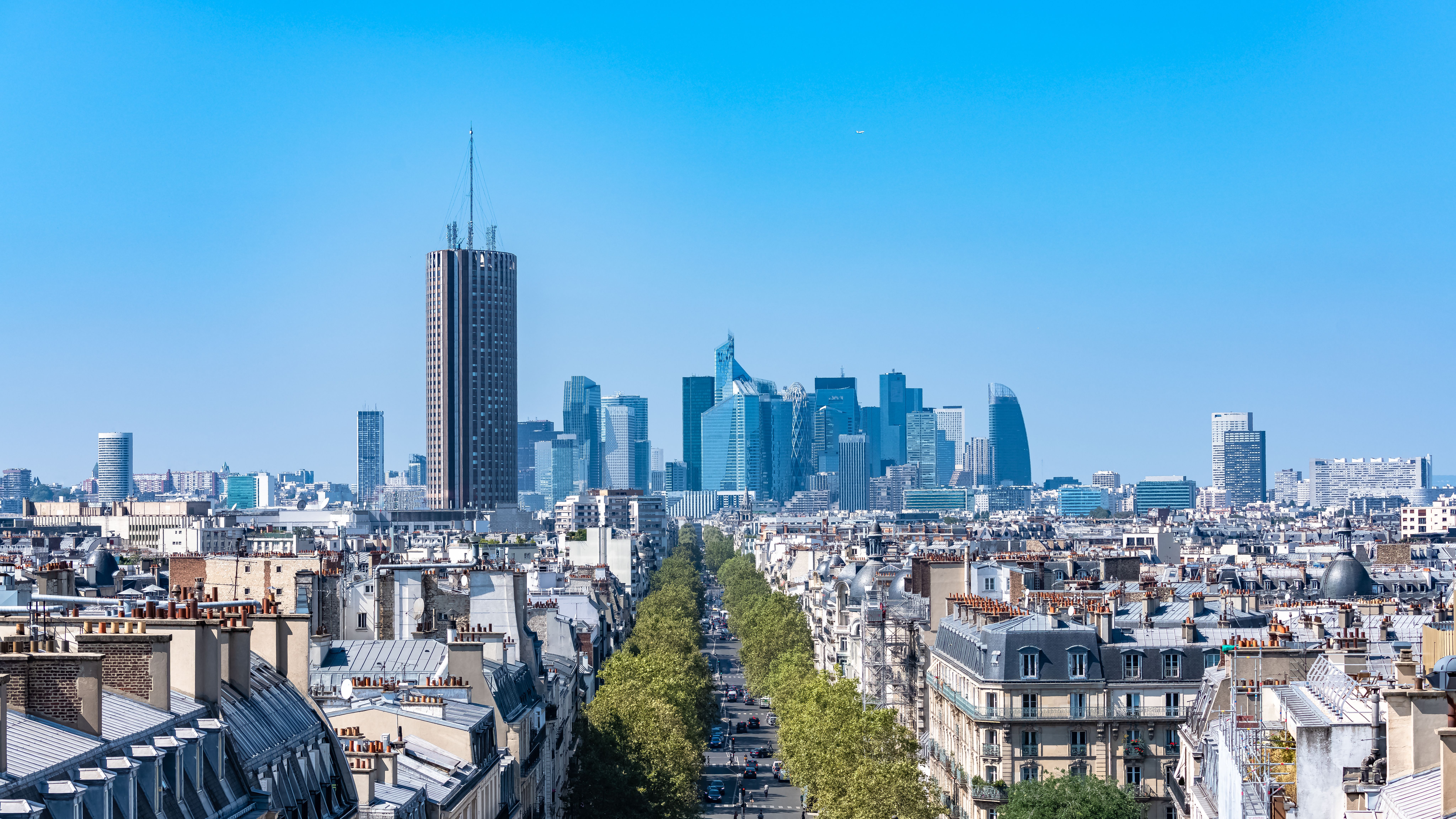 Formalités pour emmener son animal en France 2026