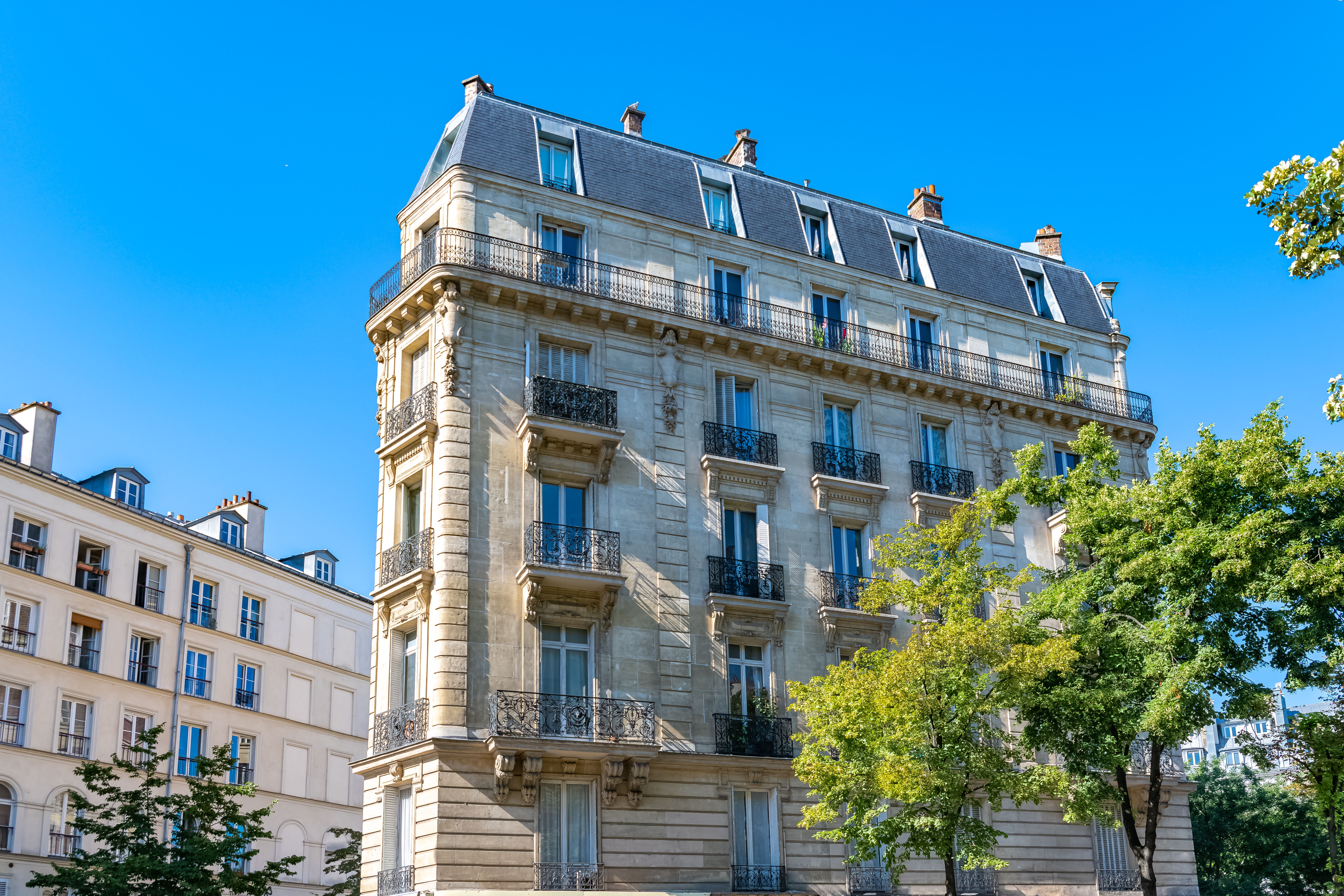 Dossier locataire avec animal Paris