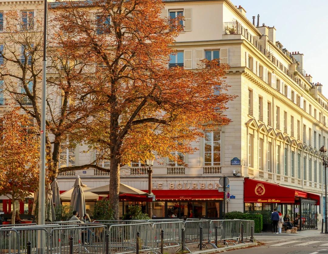 Paris relocation agency consultation for expat executive