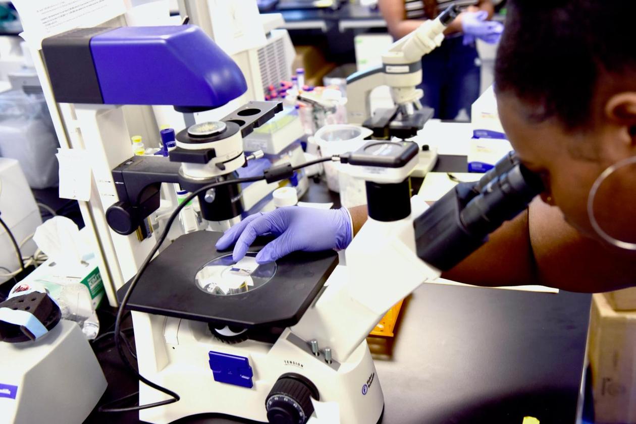 En dame på et laboratorium studerer en prøve i et mikrioskop.