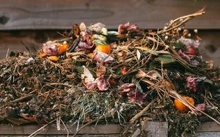 Bra att veta när du väljer kompostkvarn