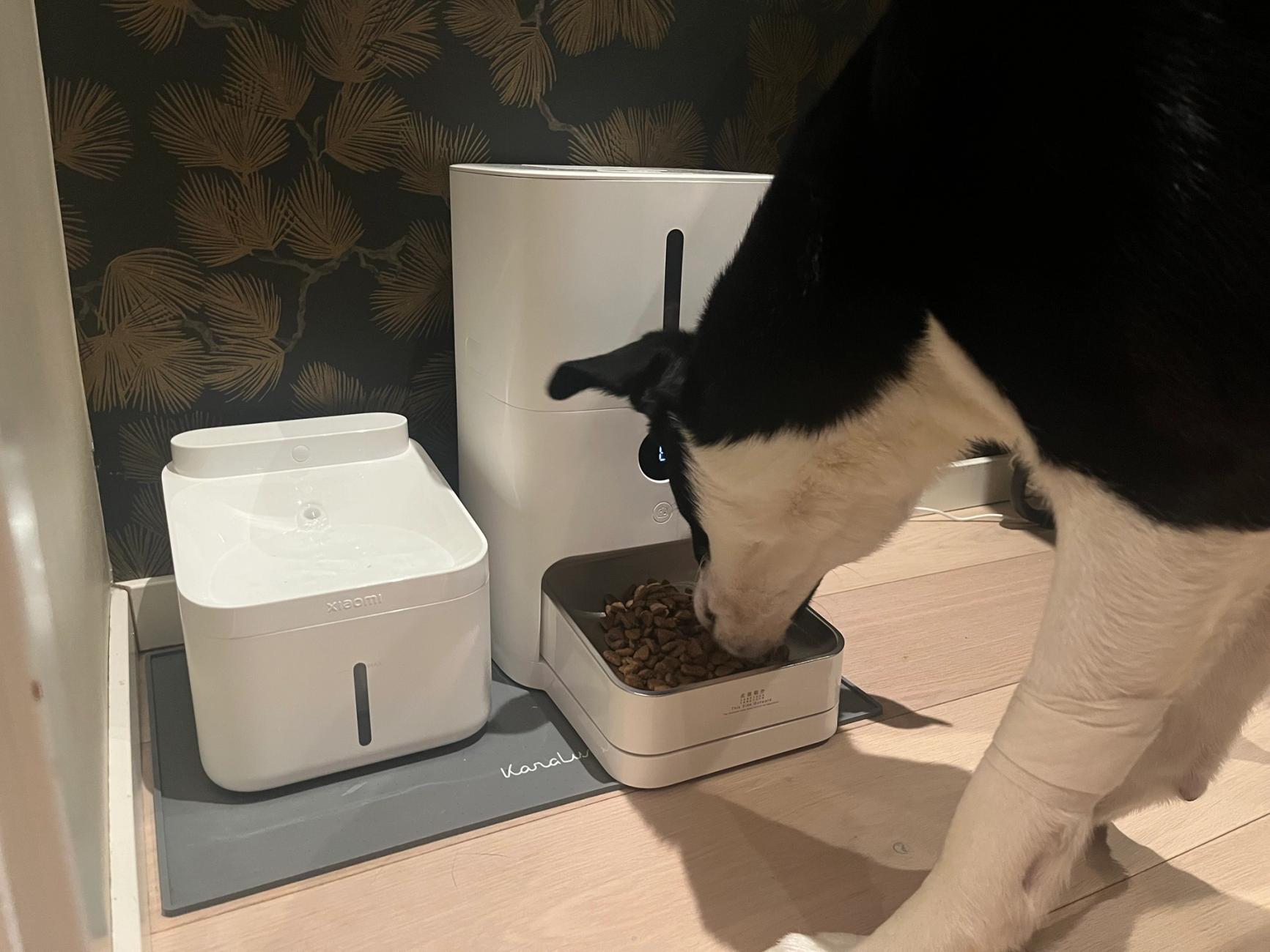 Xiaomi Smart Pet Food Feeder 2