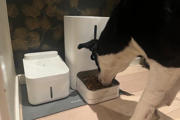 Smart Pet Food Feeder 2