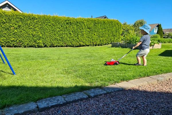Bästa batteridrivna gräsklipparen