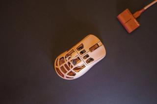 Pulsar Feinmann F01 Noctua