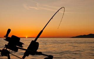 Sportfiske för nybörjaren