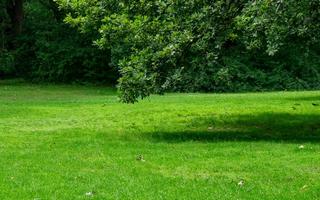 Serva robotgräsklipparen inför våren