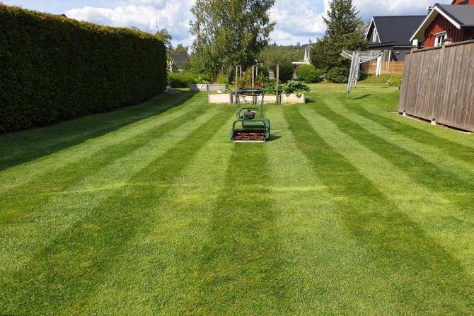 Bästa bensindrivna gräsklipparna