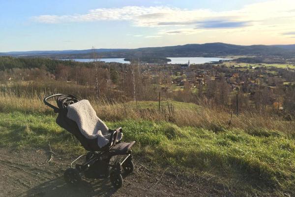 Bästa barnvagnarna för terräng och landet