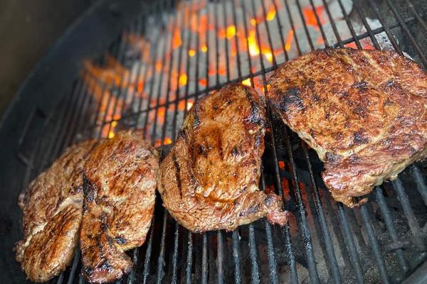 Bästa kolgrillen