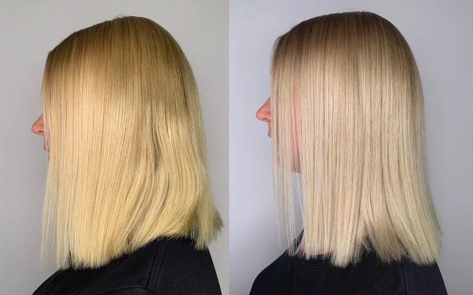 Bästa silverschampot