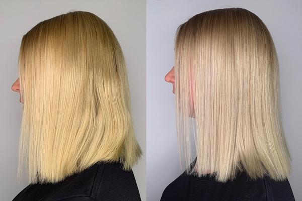 Bästa silverschampot