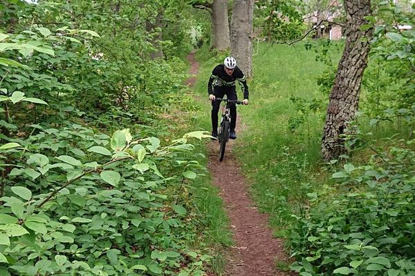 Bästa MTB-cykeln