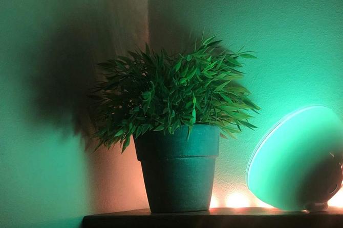 Beste smartbelysning