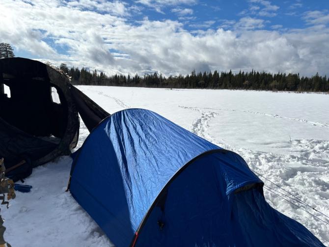 Beste telt til turer i norsk natur