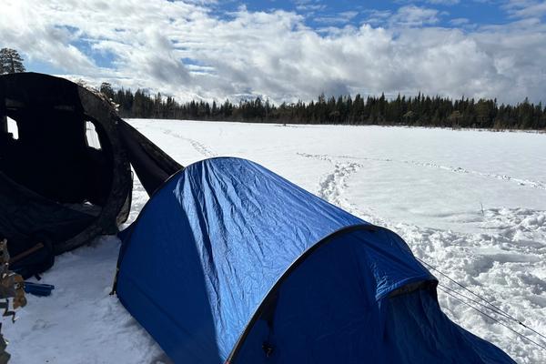 Beste telt til turer i norsk natur