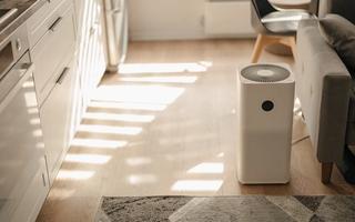 Luftrenare – ta kontroll över pollensäsongen