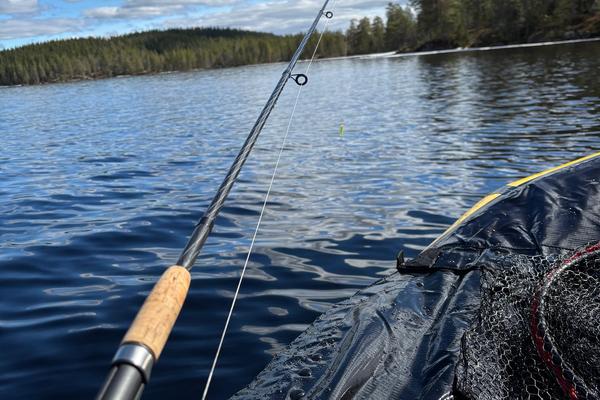 Beste fiskestang til fjellet