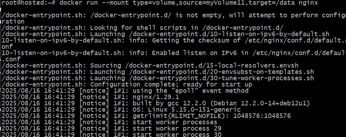 # docker run --mount type=volume,source=myVolume11,target=/data nginx