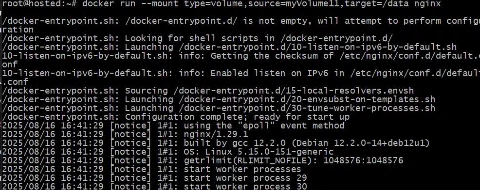 # docker run --mount type=volume,source=myVolume11,target=/data nginx