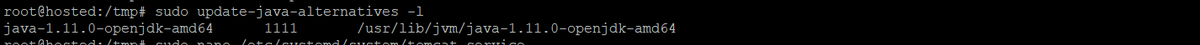 sudo update-java-alternatives -l