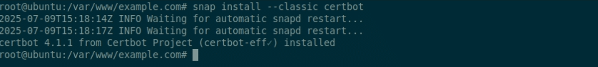 sudo snap install