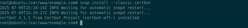 sudo snap install