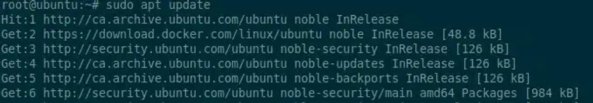 sudo apt update